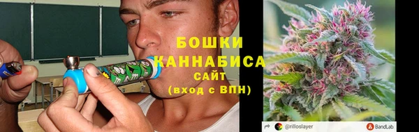 мдпв Волосово